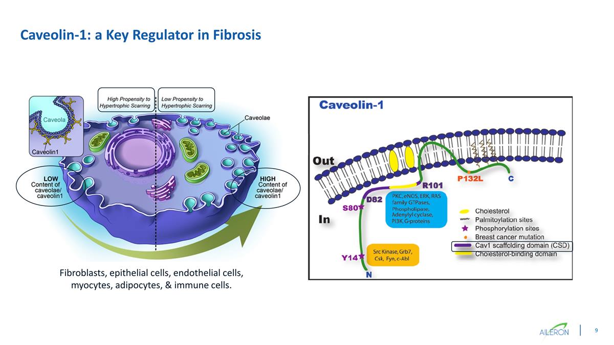 Slide 9