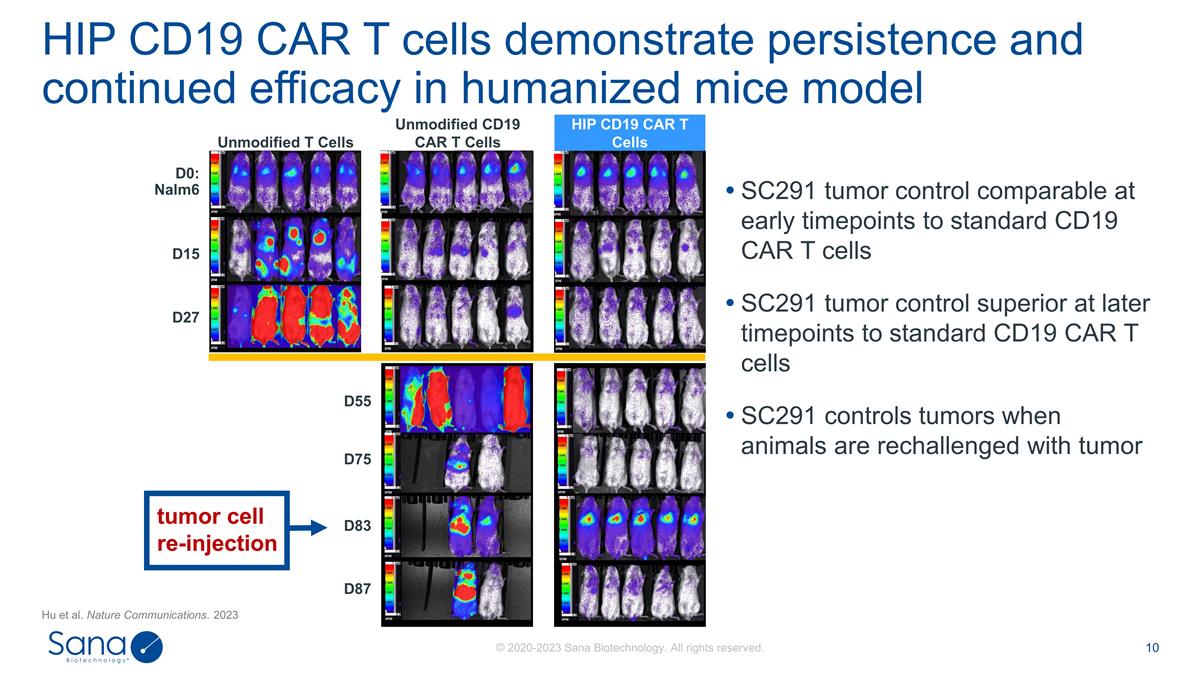 Slide 10