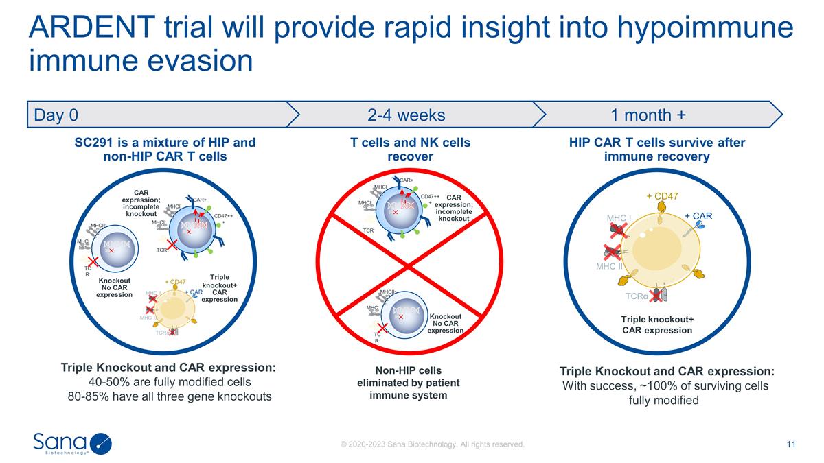 Slide 11