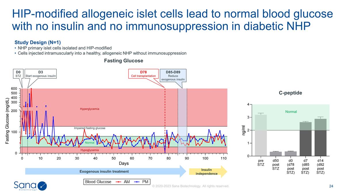 Slide 24