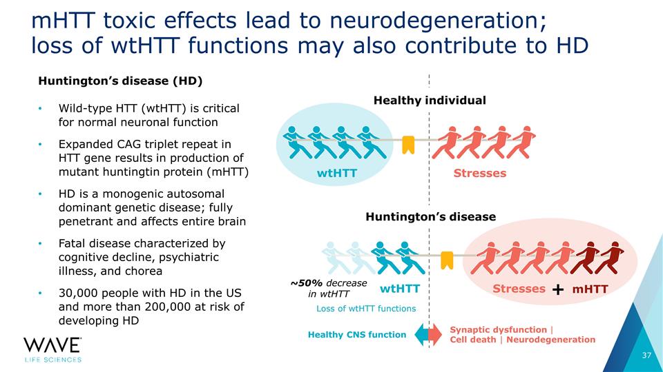 Slide 37