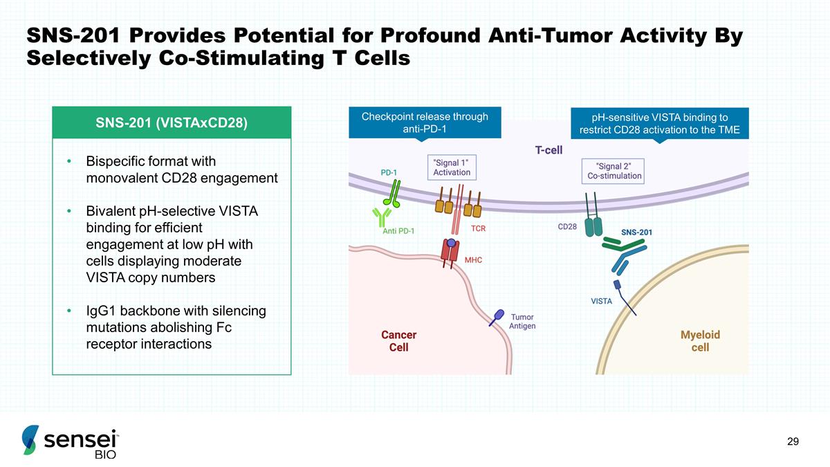 Slide 29