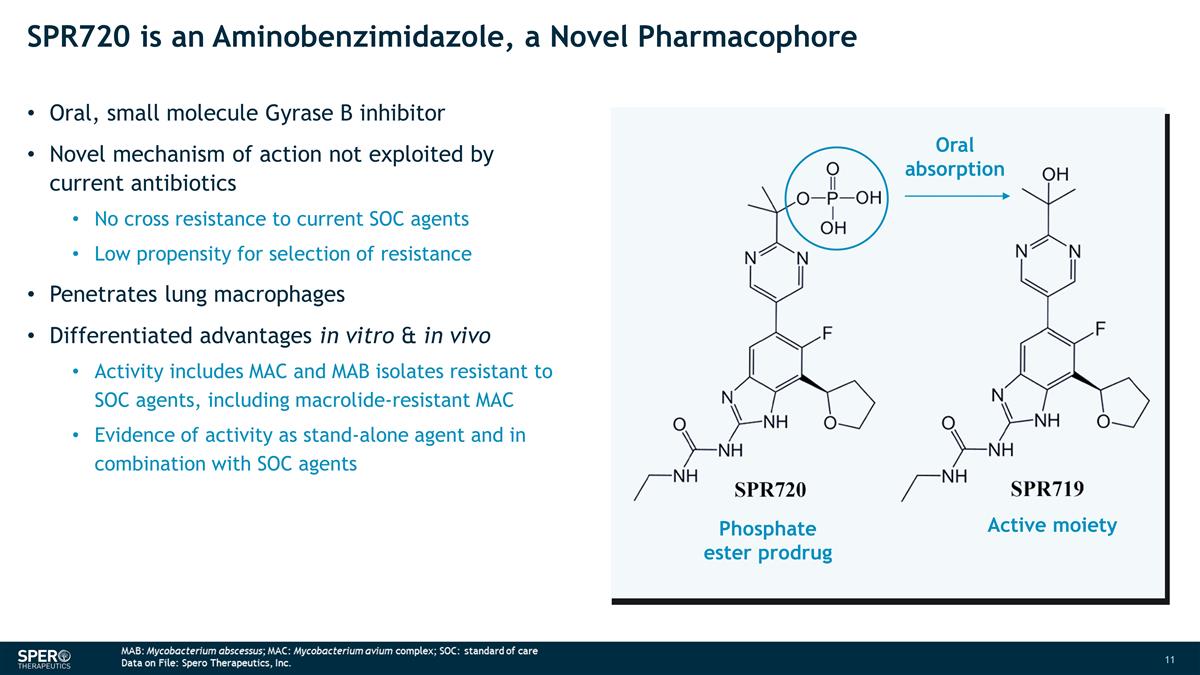 Slide 11