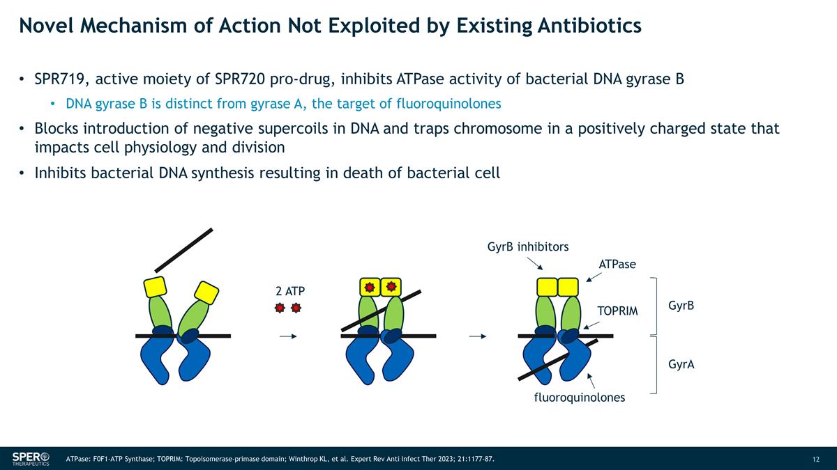 Slide 12