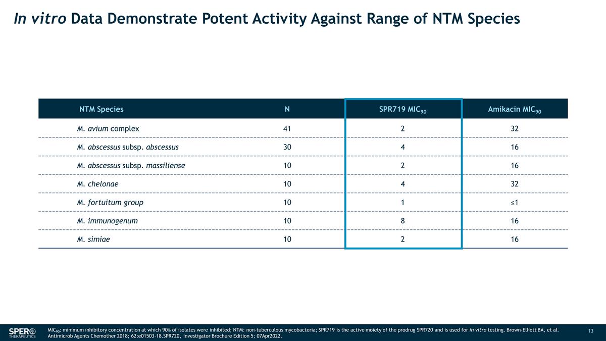 Slide 13