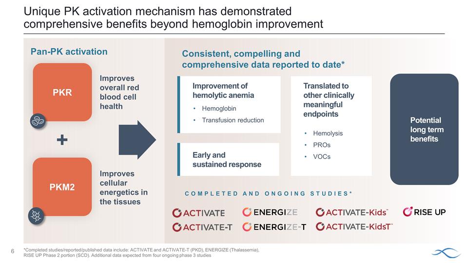 Slide 6