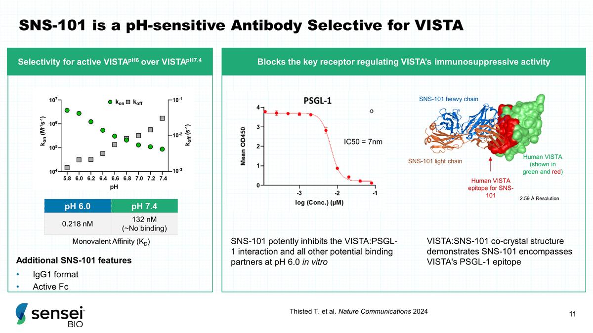 Slide 11