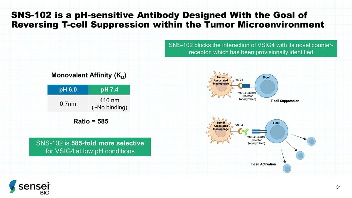 Slide 31