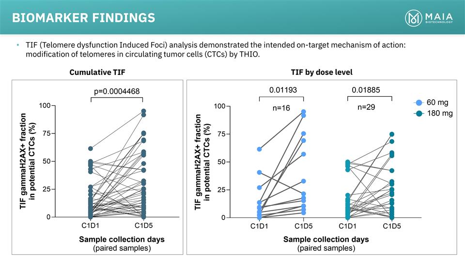 Slide 13