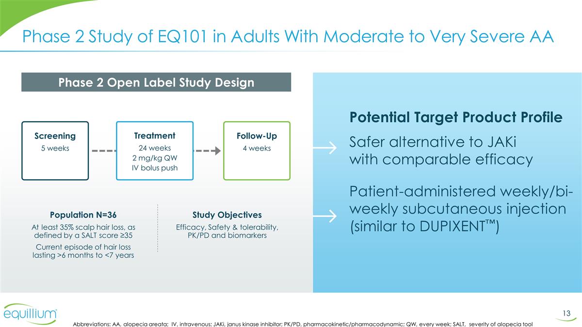 Slide 13