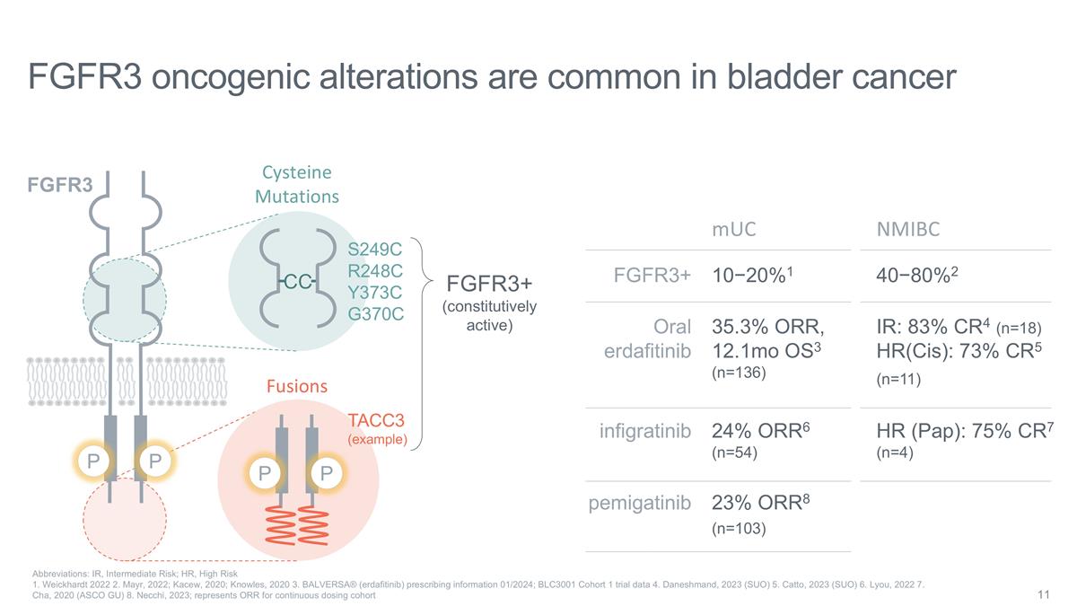 Slide 11