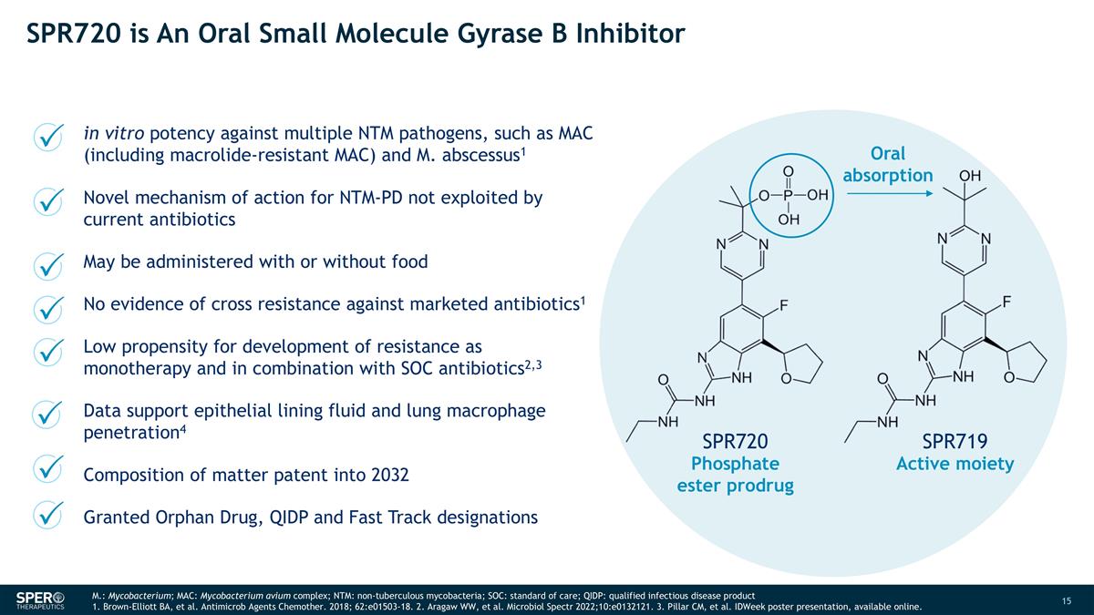 Slide 15