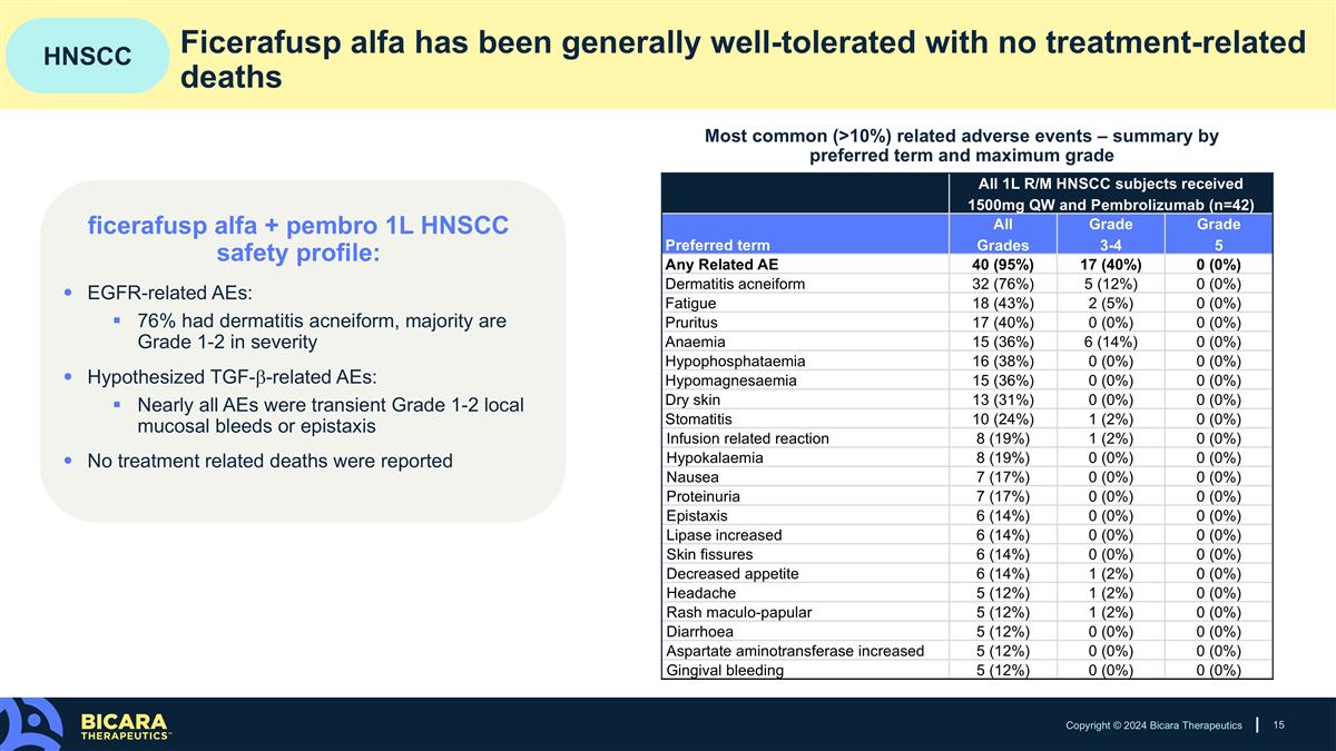 Slide 15