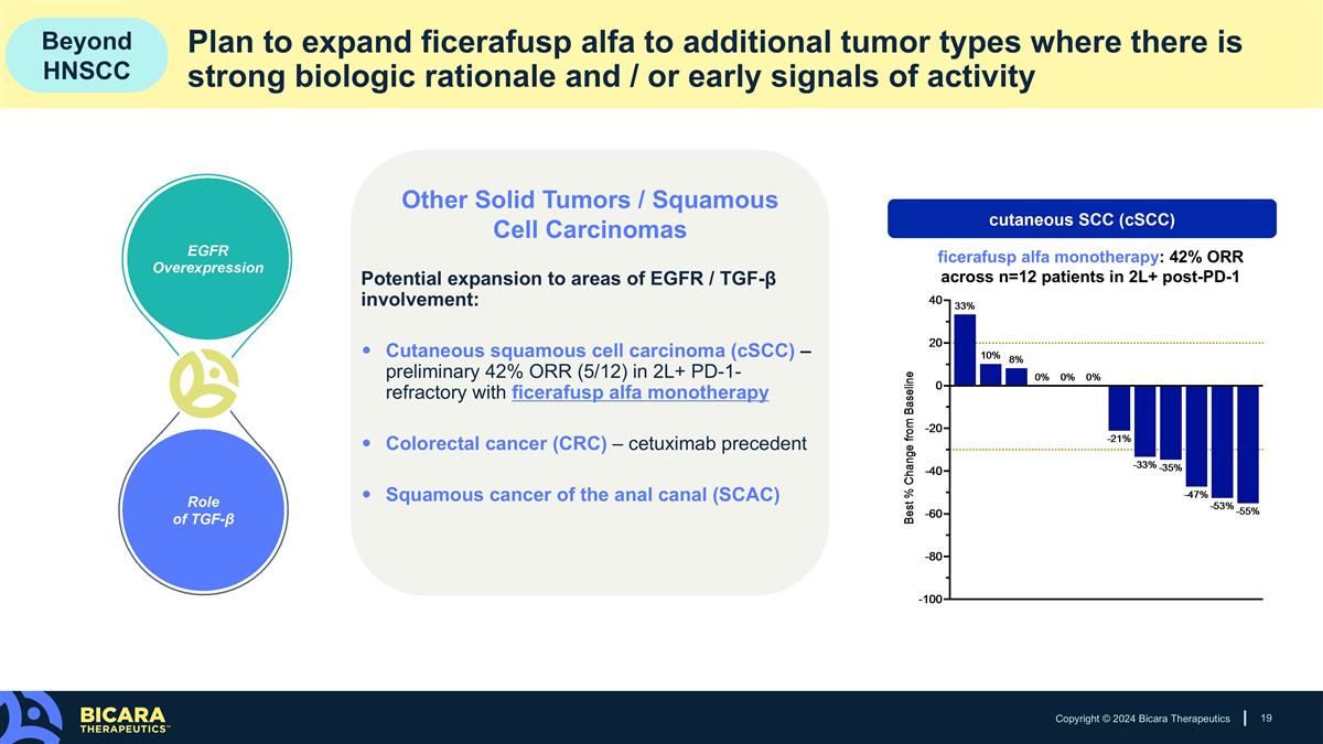 Slide 19