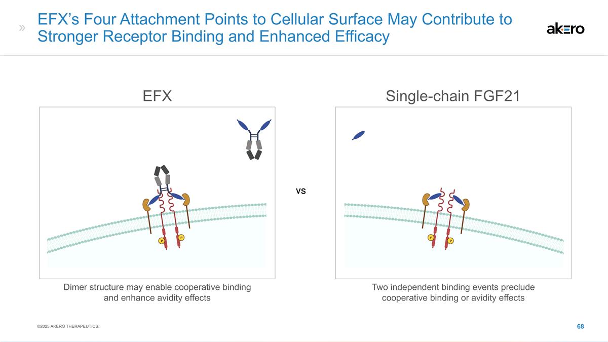 Slide 68