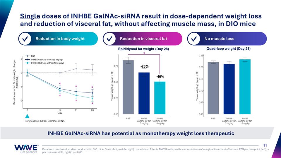 Slide 11