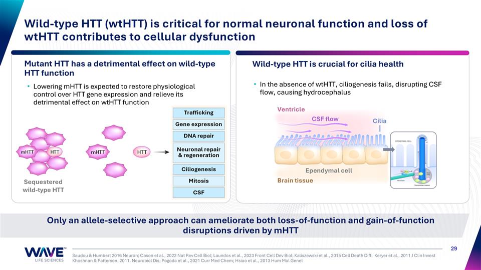 Slide 29