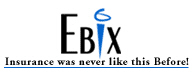 (EBIX LOGO)