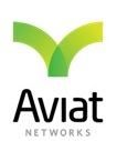 aviatlogoa01.jpg