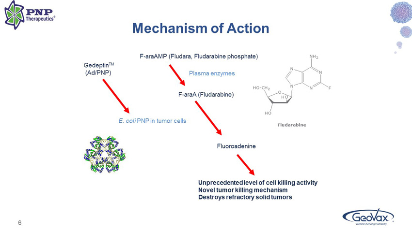 slide06.jpg