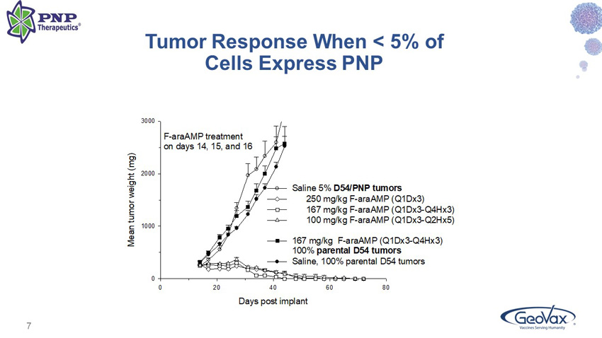 slide07.jpg