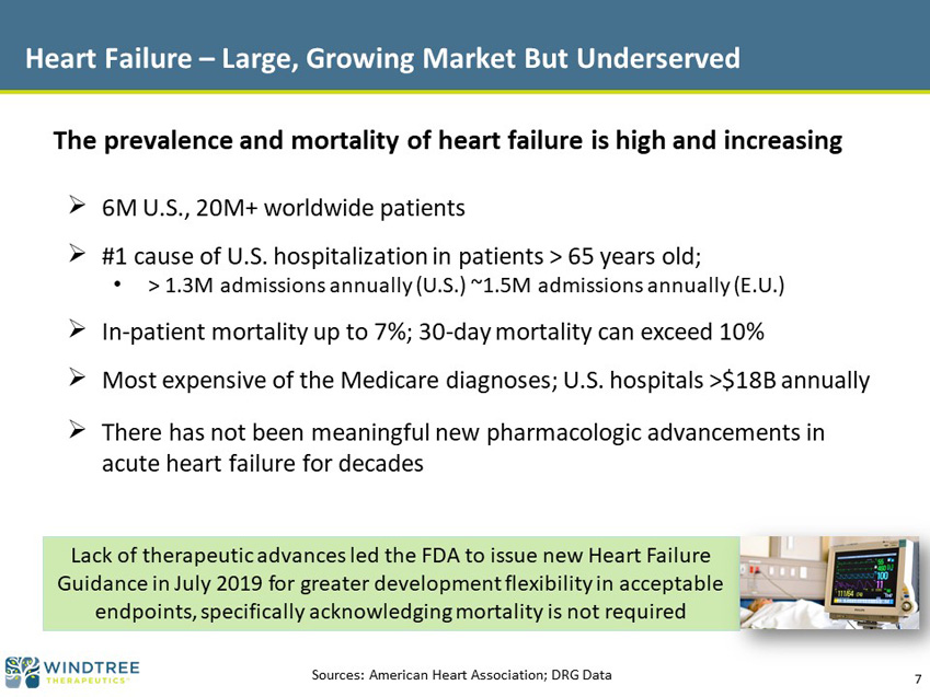 slide07.jpg