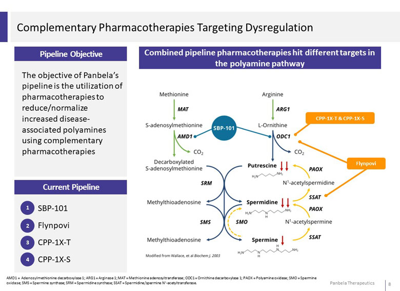 slide08.jpg