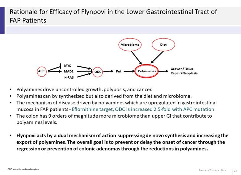 slide14.jpg