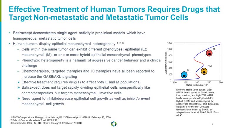 slide06.jpg