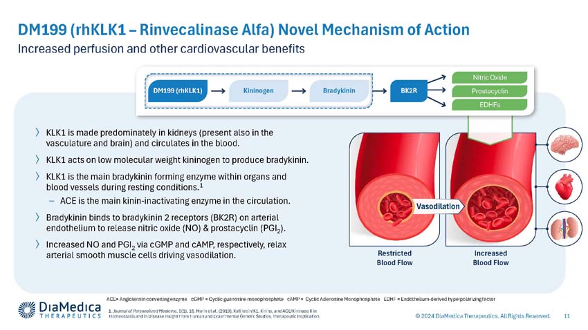 slides_page11.jpg