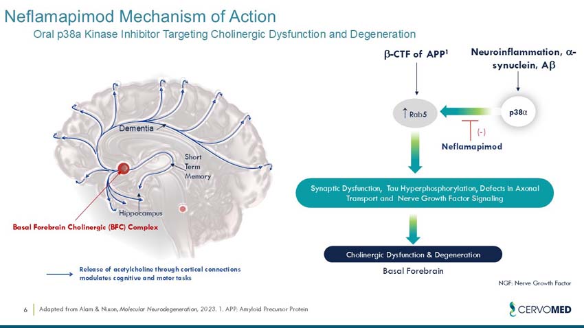 slide06.jpg