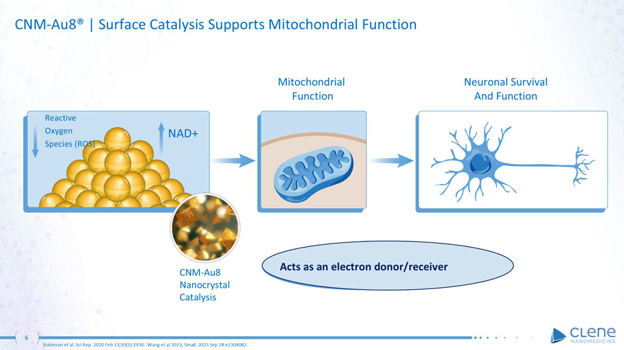 slide06.jpg