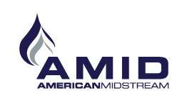 amidlogo2017meda01.jpg