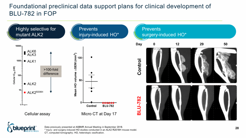 PPT_slide028.gif