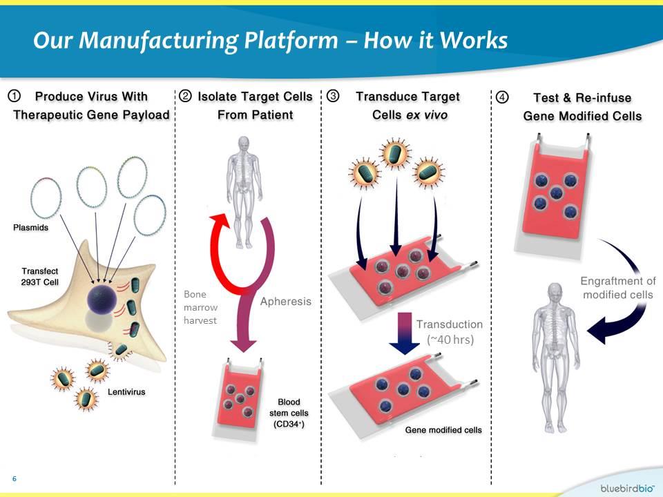 Slide 6