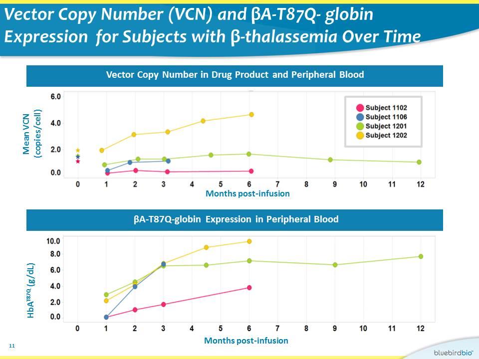 Slide 11