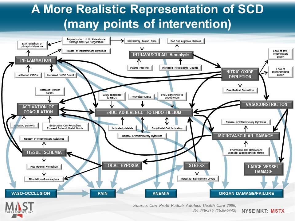 Slide 13