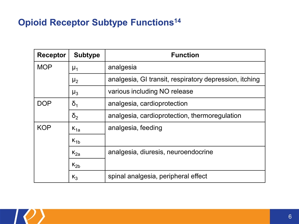 Slide 6