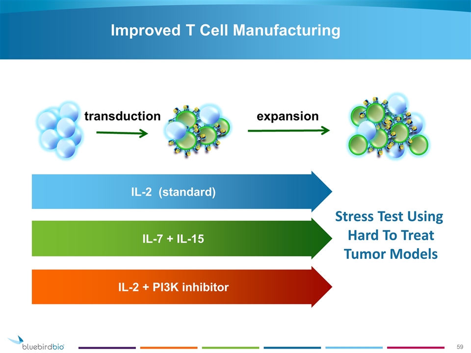 Slide 59