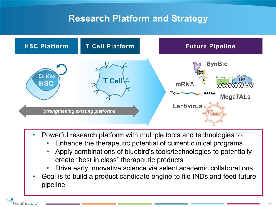 Slide 29