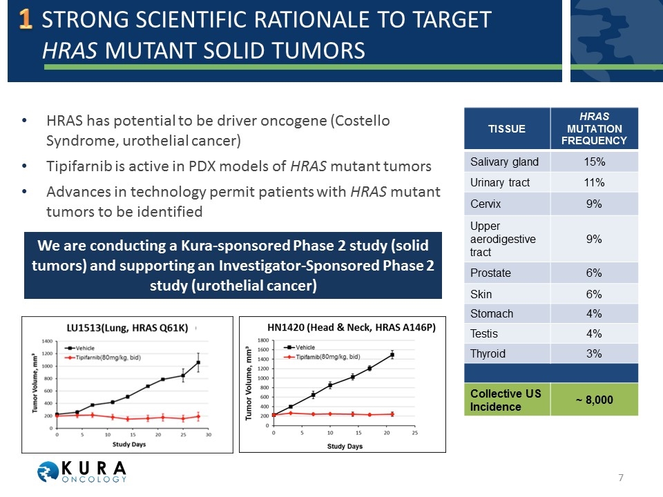 Slide 7