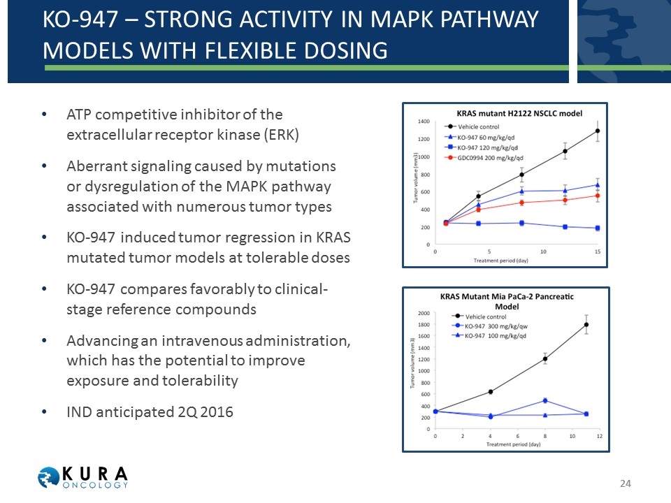 Slide 24