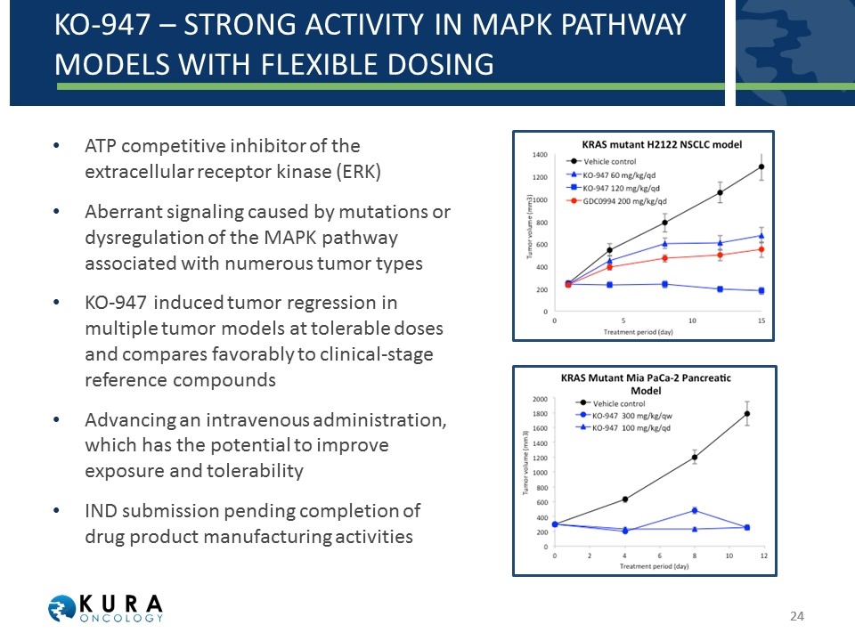 Slide 24