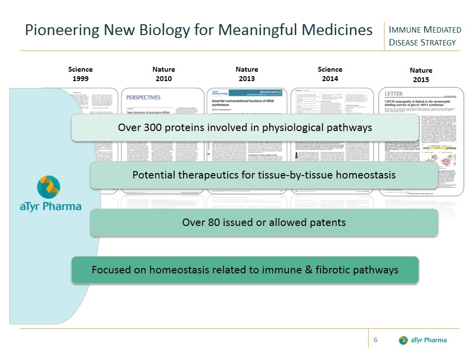 Slide 6