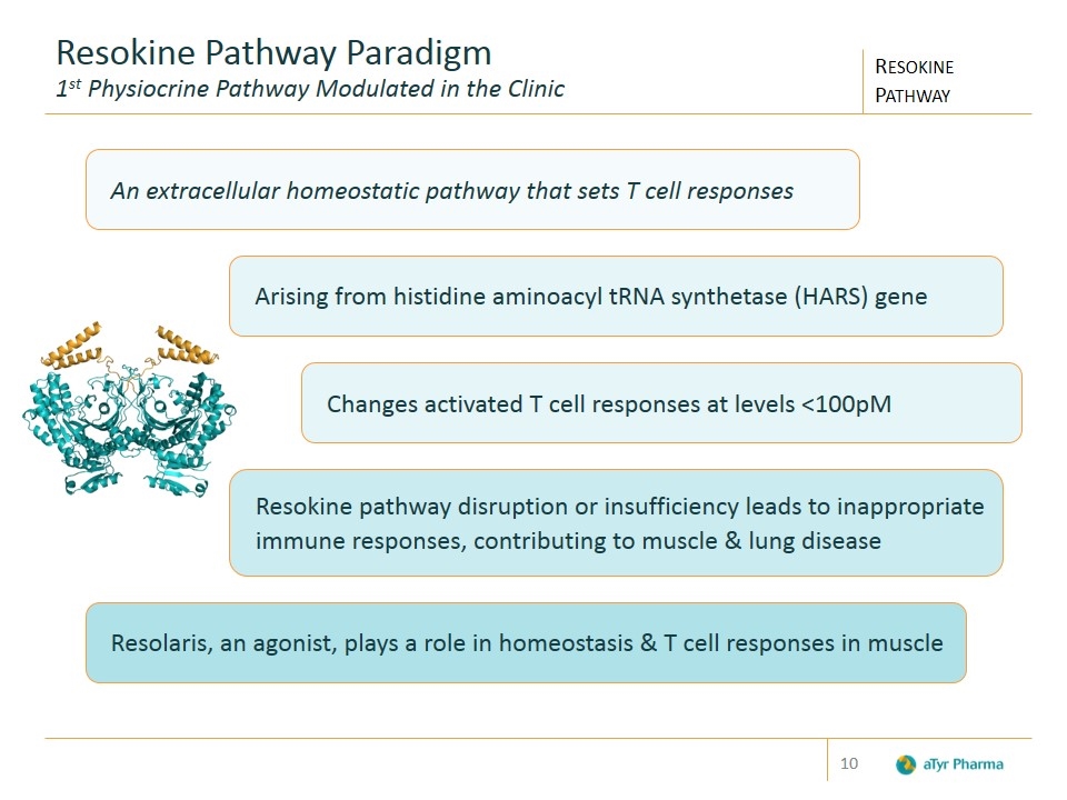 Slide 10