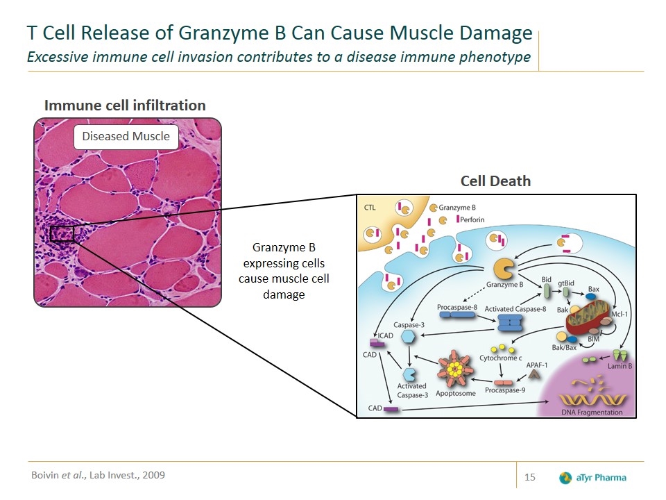 Slide 15