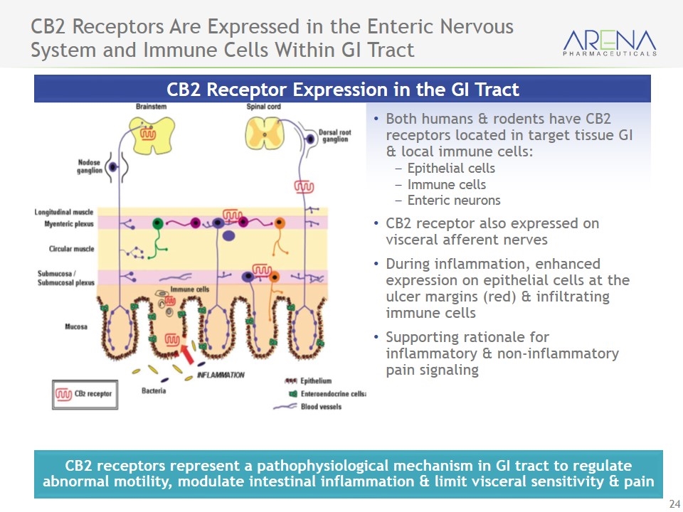 Slide 24