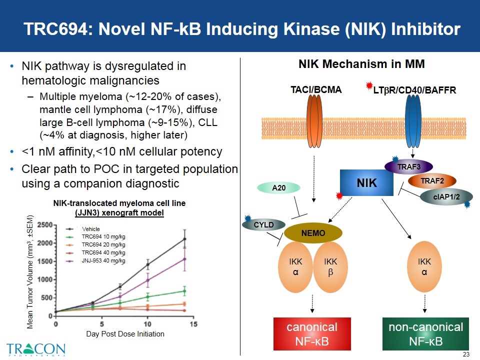 Slide 23