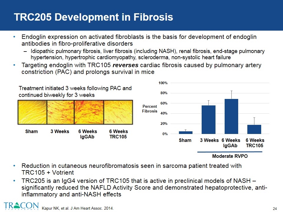 Slide 24