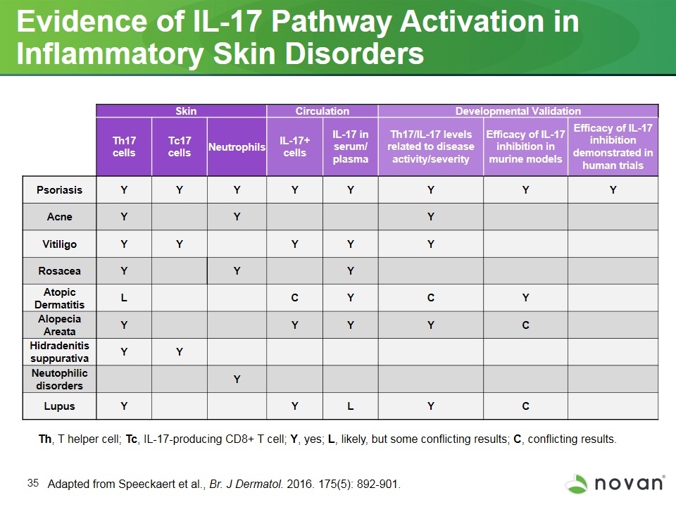 Slide 35